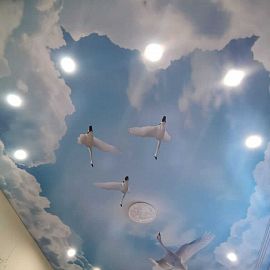Натяжной потолок в детскую с фотопечатью птиц