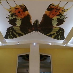 Натяжной потолок с бабочкой
