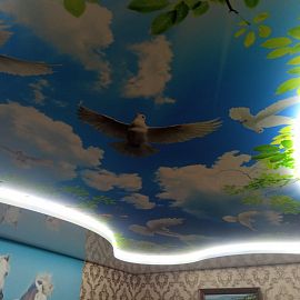 Натяжной потолок с птицами