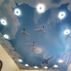 Пример потолка с фотопечатью неба