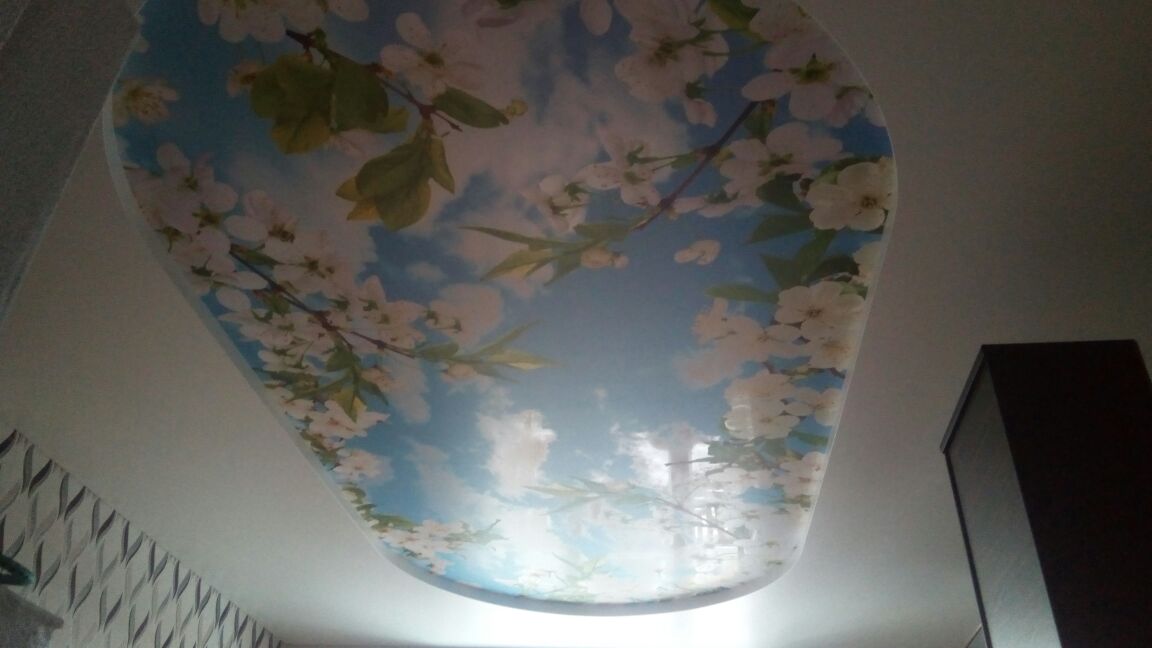 Потолок с 3D фотопечатью «Весеннее небо»