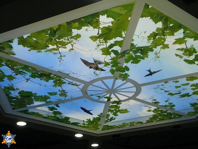 Потолок с 3D фотопечатью «Окно в небо с птицами»
