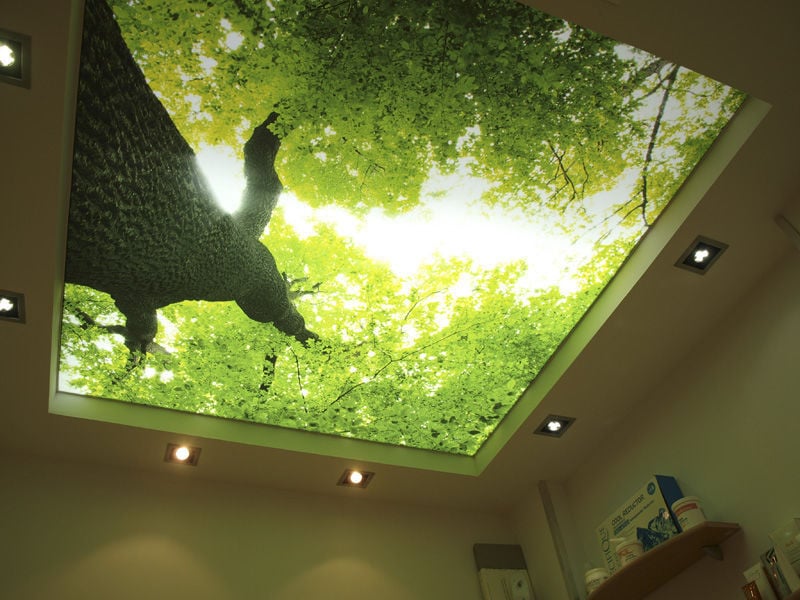 Потолок с 3D фотопечатью «Дерево»