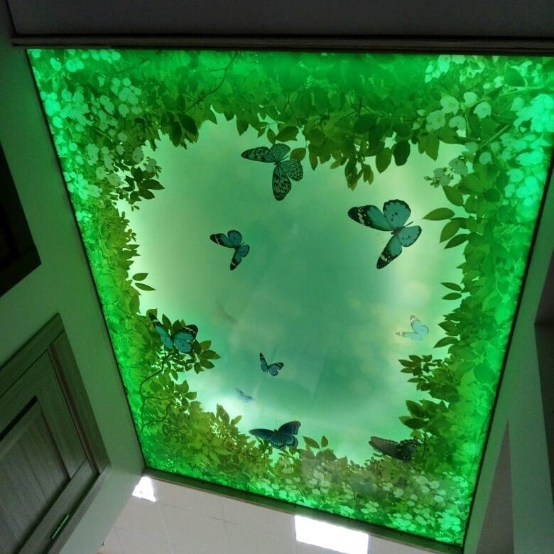 Потолок с 3D фотопечатью «Бабочки»