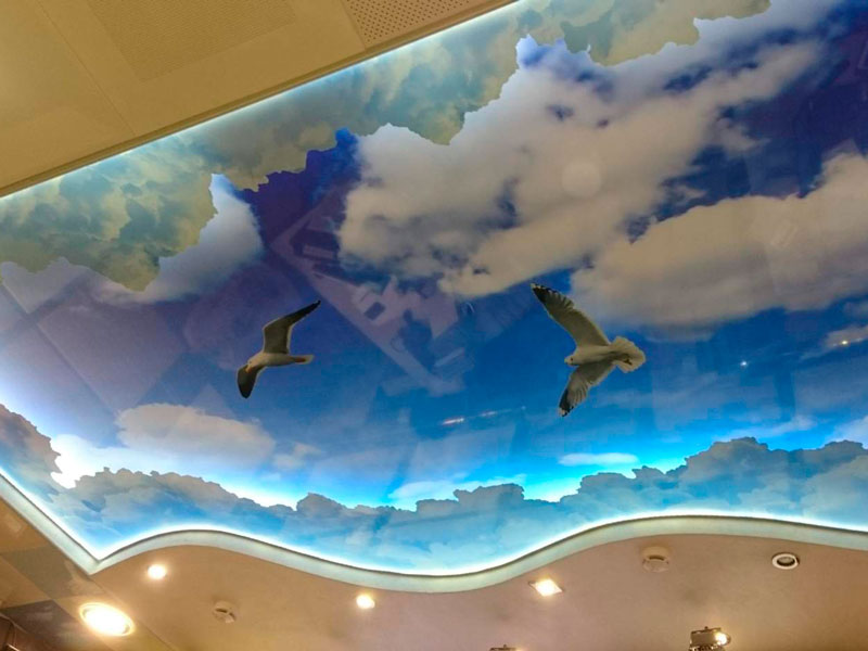 Резной потолок с 3D фотопечатью «Чайки»