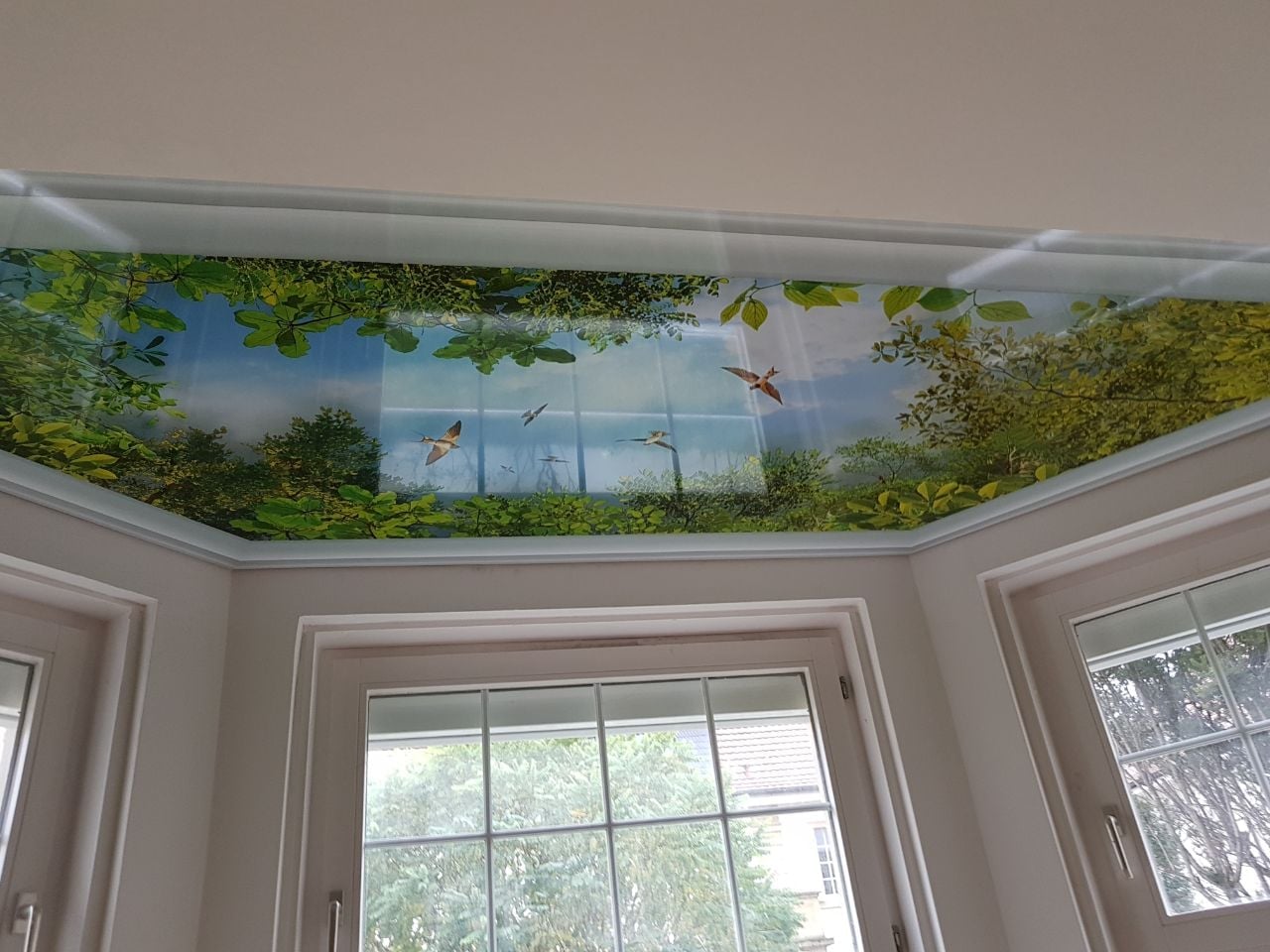 Потолок с 3D фотопечатью «Небо и птицы»